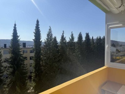 * Alles NEU *  2 Zi-Wohnung in Niedernhausen * auch als Kapitalanlage * mit Aufzug!