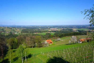 Einfamilienhaus in idyllischer Hanglage zur Miete