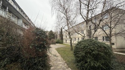 5 Gehminuten nach Schönbrunn!