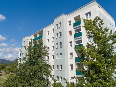 Geräumige 3-Zimmer-Wohnung im Harzblick