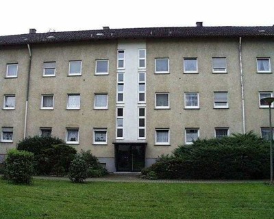 Neu renovierte 3-Zimmer-Wohnung