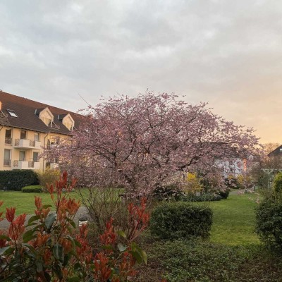 Attraktive 2-Zimmer-Gartenwohnung inkl. Küche und Tiefgarage