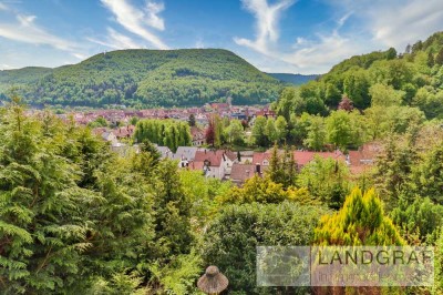 Villa in herrlicher Aussichtslage von Bad Urach