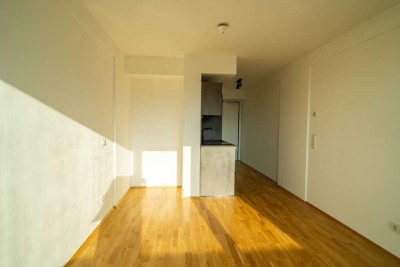 Gemütliches Apartment mit West-Balkon