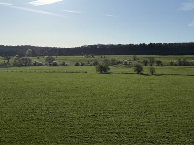 Genießen Sie die Ruhe *** Wunderschöne sanierte 3 Zimmer Wohnung in Mausbach