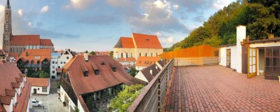 " Schmuckstück " 2 Zi. Stadtwohnung mit 68 qm Dachterrasse