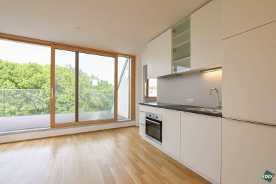 Klimatisierte DG-Wohnung mit traumhafter Terrasse in Hofruhelage