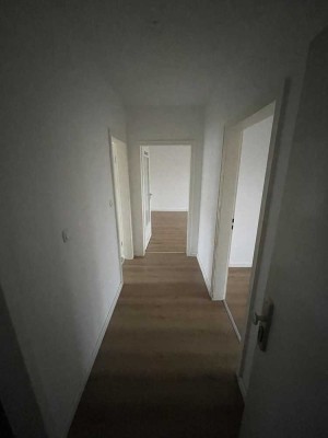 Frisch sanierte 3 Zimmer Wohnung