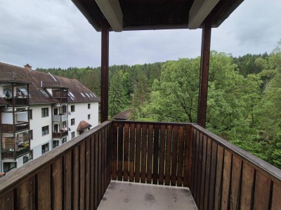 Helle Dachgeschoßwohnung im Grünen - Eisbach Rein!