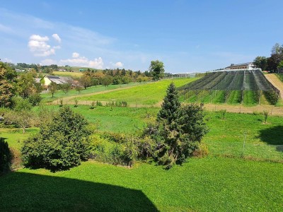 Sonnige 3-Zimmer-Wohnung mit unverbaubarem Grünblick und Top-Lage