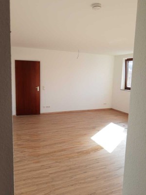 Renovierte 4-Zimmer-Wohnung mit Balkon Nähe Rosenaupark