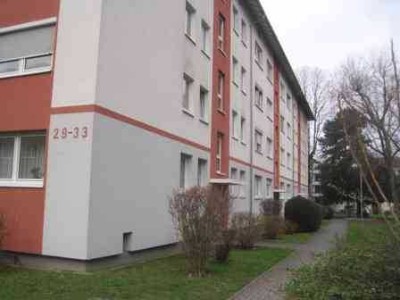Grüne Lage ! 2025 Sanierte/Renovierte 3-Zimmer-Stadtwohnung