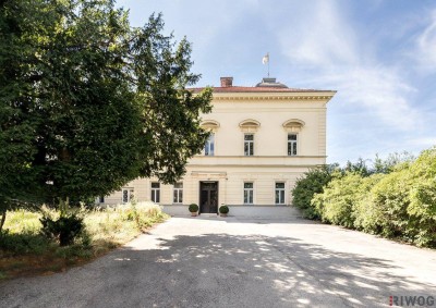 Herrschaftliches Haus | Gartenwohnung mit ca. 204m² Wohnfläche &amp; 4,40m Raumhöhe | sanierungsbedürftig | Parkplatz