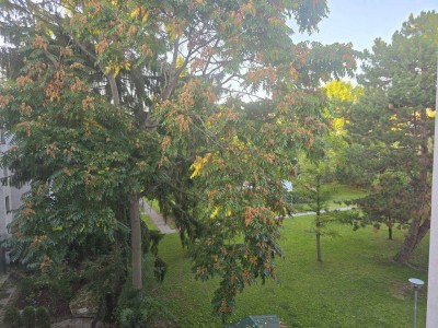TOP LAGE + vollsanierte, gepflegte 1-Zimmer-Wohnung in 1210 Wien in ruhiger Lage