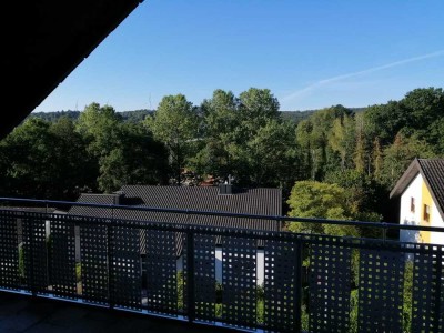 Sehr schöne komplett renovierte Dachgeschoss ETW mit tollem Ausblick vom Balkon