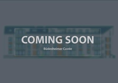 Comming soon: "Büdesheimer Cuvée" 19 attraktive Neubauwohnungen ab 261.000 €