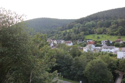 Neubau-Moderne Häuser in Bad Wildbad, profisionsfrei!