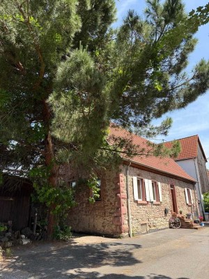 Charme & Gemütlichkeit! Historisches 1-3-Familienhaus in liebevolle Hände abzugeben