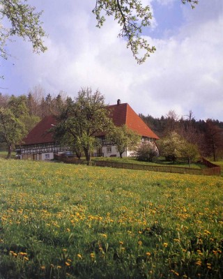 Naturnahes  Wohnen in historischem Bauernhaus bei Bad Waldsee