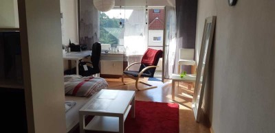 Helle 1-Zimmer Wohnung mit Balkon in Münster-Pluggendorf