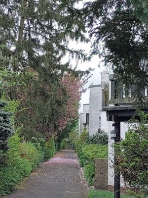 Großzügiges Reihenmittelhaus in Muffendorf mit Einliegerwohnung und sonnigem Atriumgarten