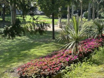 WOHNEN IM HERZEN DER ALTSTADT - INDIVIDUELL MIT BLICK IN DEN PARK