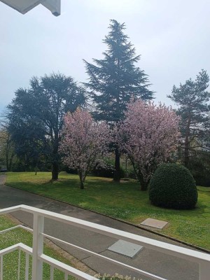 provisionsfrei attraktive 3.5-Zimmer Eigentumswohnung Gonzenheim  mit gross Garten