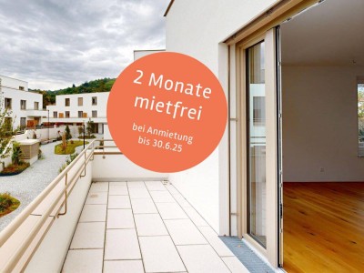 marena - Wohnen in Krems | Miete: Umrandet von Weinbergen, unweit der Innenstadt: 3-Zimmer-Wohnung mit schöner Terrasse