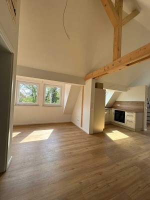 Stilvolle Dachgeschosswohnung in Scheibenhardt