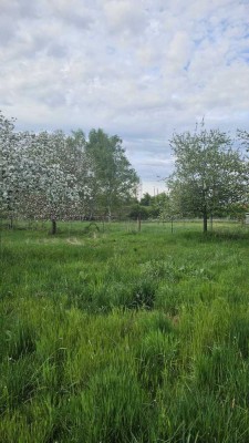 Gartengrundstück an den Weiherwiesen in Karlsruhe (Bulach-Beiertheim) ab sofort zu verkaufen.