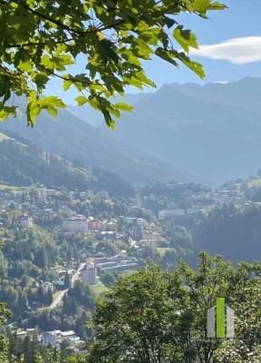Ferienwohnung mit Traumaussicht in Bad Gastein