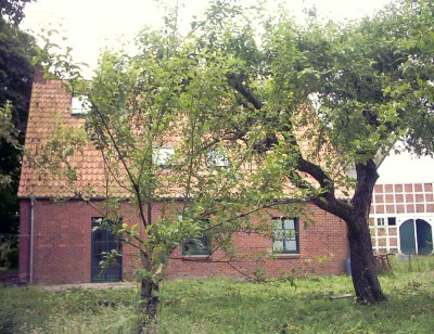 Tevfik