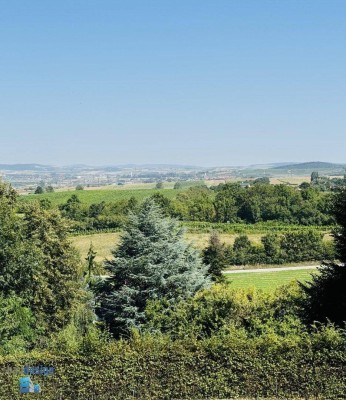 Bisamberg ! Großes stilvolles Familienhaus am Fuße des Bisambergs mit traumhafter Aussicht !