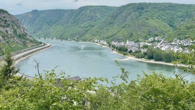 Immobilien-Richter: 2 Familienhaus direkt am Rhein....