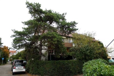 Ruhig gelegene 2-Zimmer-Wohnung im Dachgeschoss in Aichtal-Grötzingen