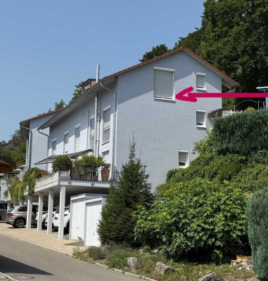 Schöne 4-Zimmer-DG-Wohnung mit Dachterrasse und EBK in Waldshut-Tiengen