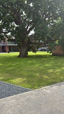 Wohnen unter der alten Eiche in Deezbüll