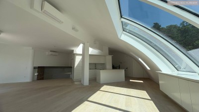 3 Terrassen mitten in Döbling samt Wohnung von 180m2