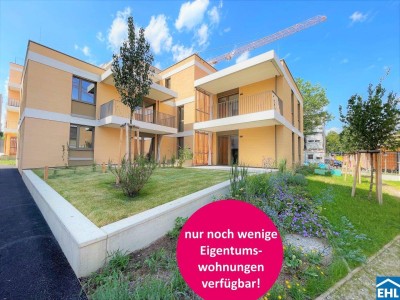 Willkommen beim Projekt Wildgarten - Ihrem exklusiven Zuhause im Herzen des 12. Bezirks!