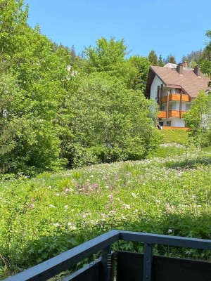 Hier beginnt Ihre Auszeit++1 Zimmer Wohnung mit Balkon + Küche++