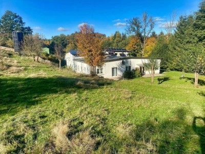 Anwesen mit vielen Möglichkeiten !