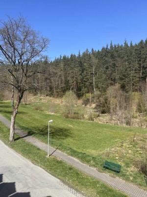 ruhige 2-Raum-Wohnung mit Balkon am Stadtrand von Bad Elster