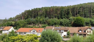 Ansprechende und neuwertige 3-Raum-Maisonette-Wohnung mit Balkon in Spirkelbach