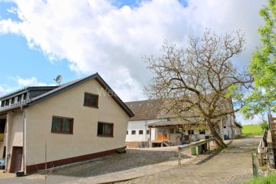 Freistehendes 3-Parteienhaus mit Nebengebäuden (Stallungen, Remisen), 2. Bauparzelle + Weideland