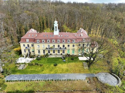 +Herrschaftlich Wohnen im Schloß Wachwitz - helle exklusive 3-Zimmer-Wohnung mit Terrasse+