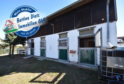 DIETZ: Platz Für Ross und Reiter! Wohnhaus + Gewerbegebäude mit 6 Pferdestallungen! In Feldrandnähe!