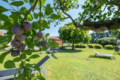 Vier exklusive Residenzen in Jork – Historischer Ferienhof im Alten-Land!