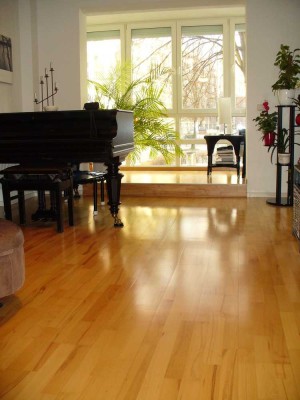 Zentrale , neuwertige 3-Zimmer-HP-Wohnung mit Wintergarten in Friedrichshain, Staffelmiete!