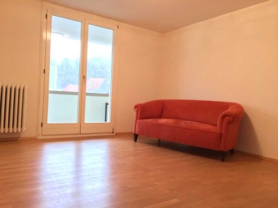 Schöne freundliche geräumige 3 1/2 Zimmer Wohnung in Heidelberg, Weststadt