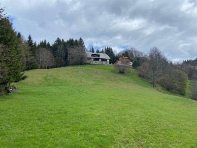 Landwirtschaft in Alleinlage Nähe Friesach